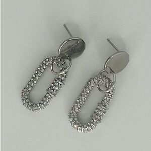 Carabiner Clasp Crystal Earrings